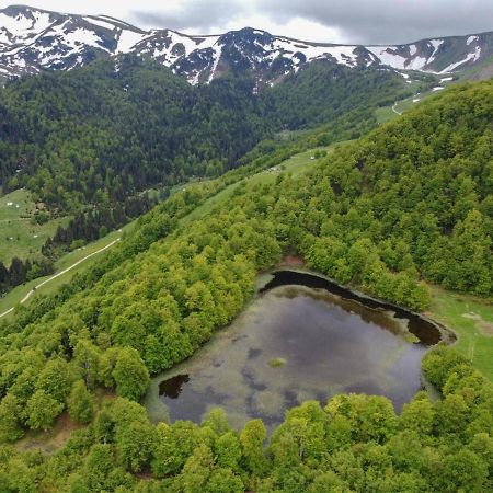 Rakovic Katun - Biogradska Gora Accomodation Villa Berane Bagian luar foto