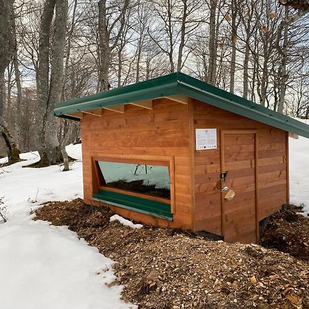 Rakovic Katun - Biogradska Gora Accomodation Villa Berane Bagian luar foto