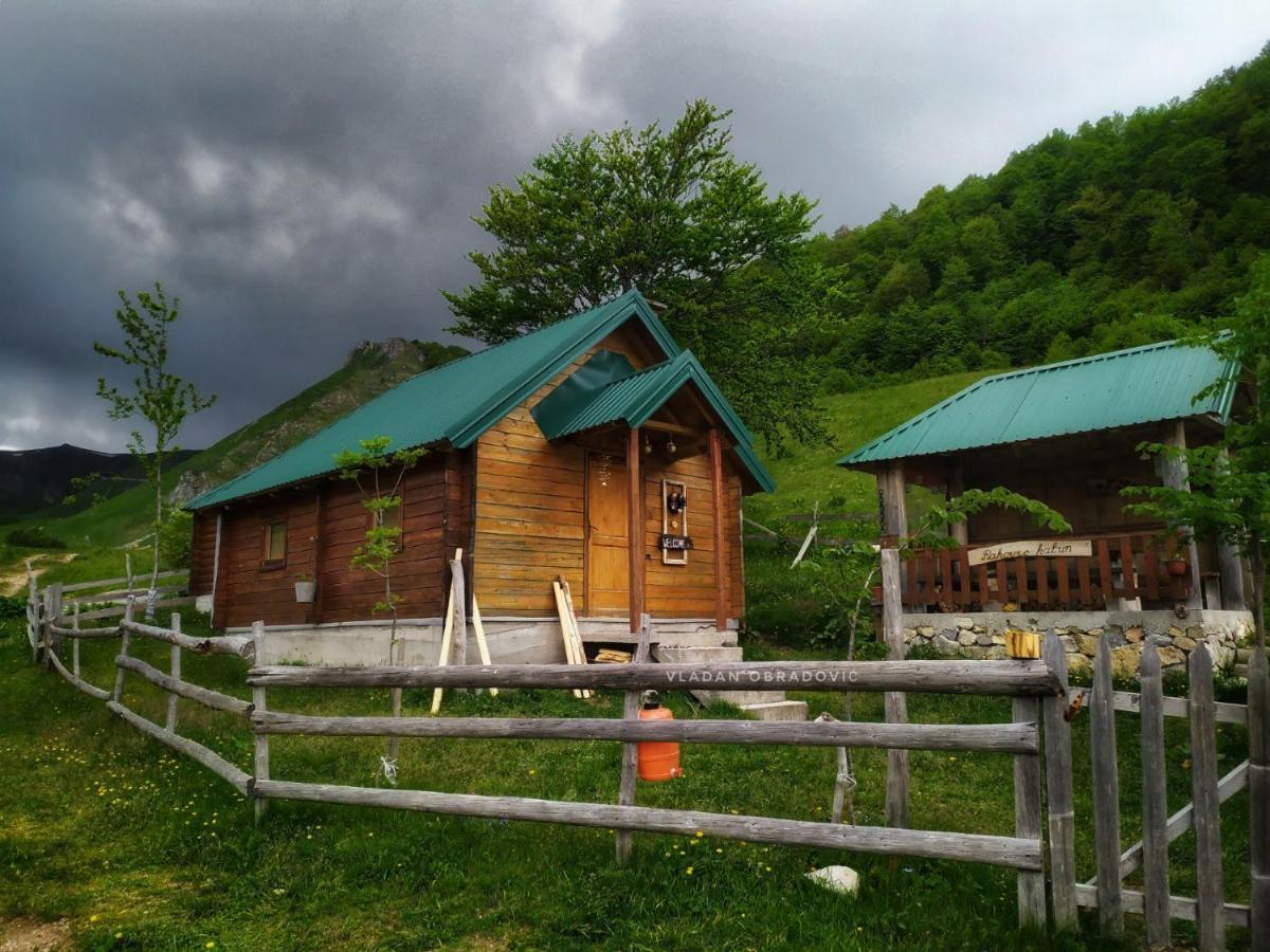 Rakovic Katun - Biogradska Gora Accomodation Villa Berane Bagian luar foto