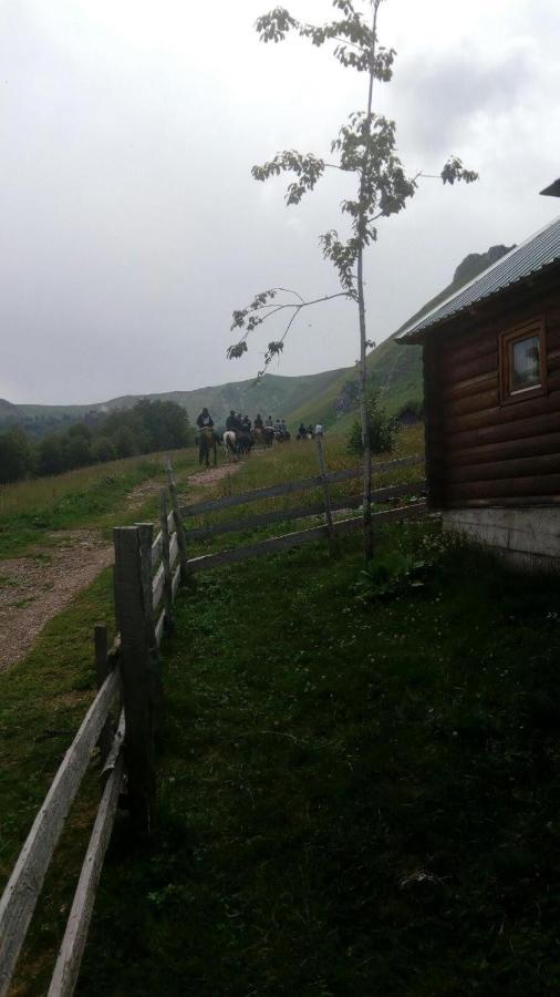 Rakovic Katun - Biogradska Gora Accomodation Villa Berane Bagian luar foto