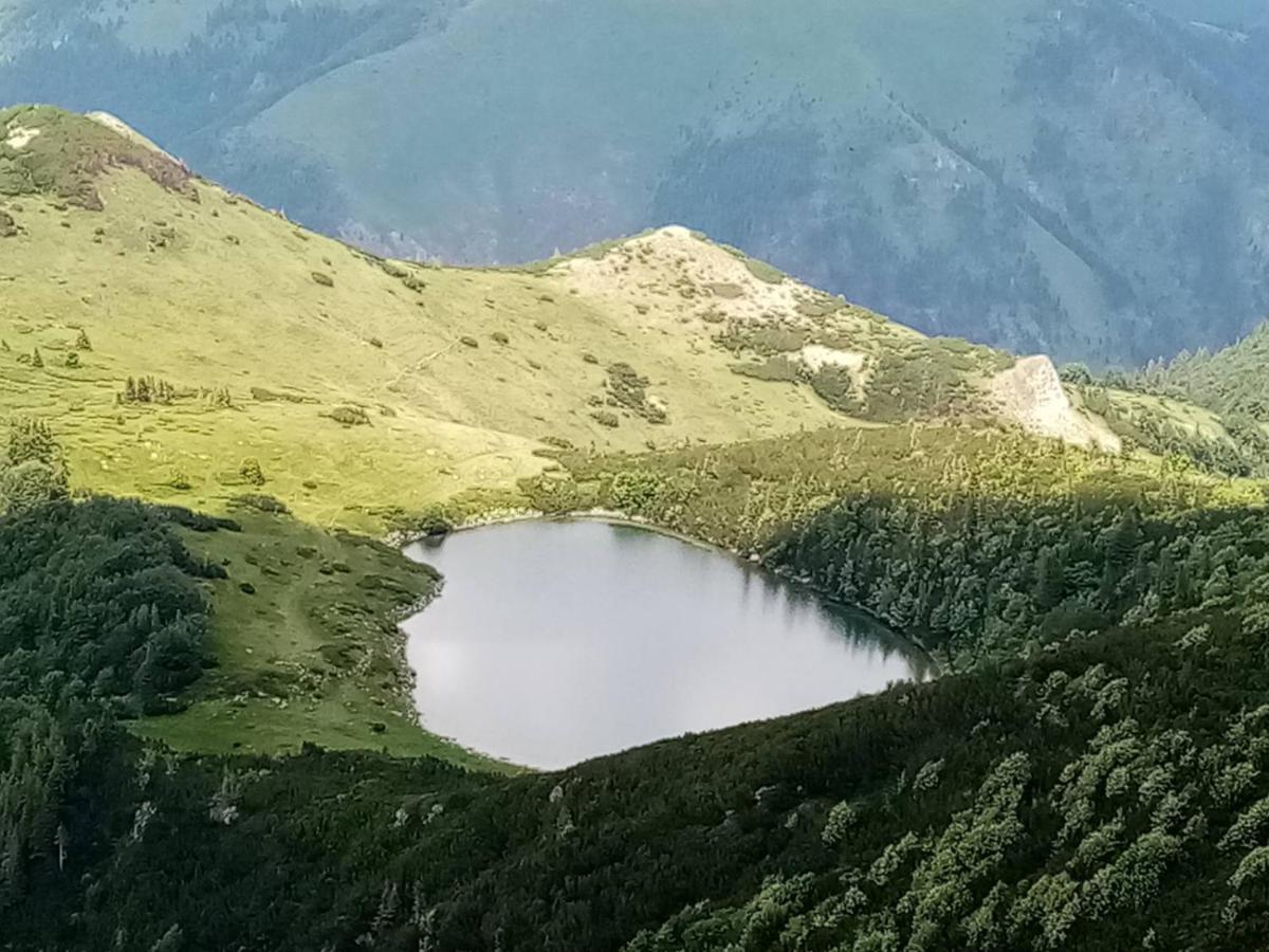 Rakovic Katun - Biogradska Gora Accomodation Villa Berane Bagian luar foto