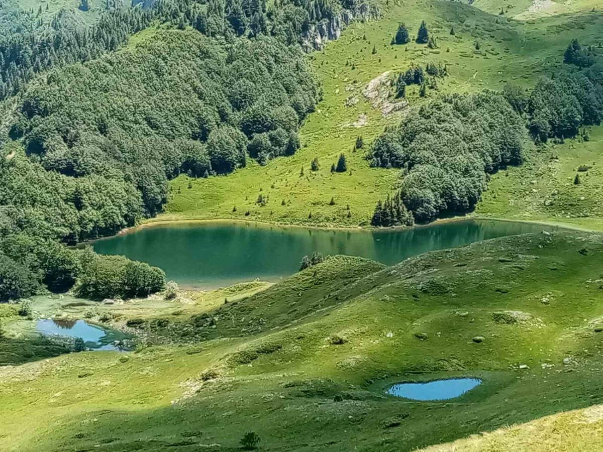 Rakovic Katun - Biogradska Gora Accomodation Villa Berane Bagian luar foto