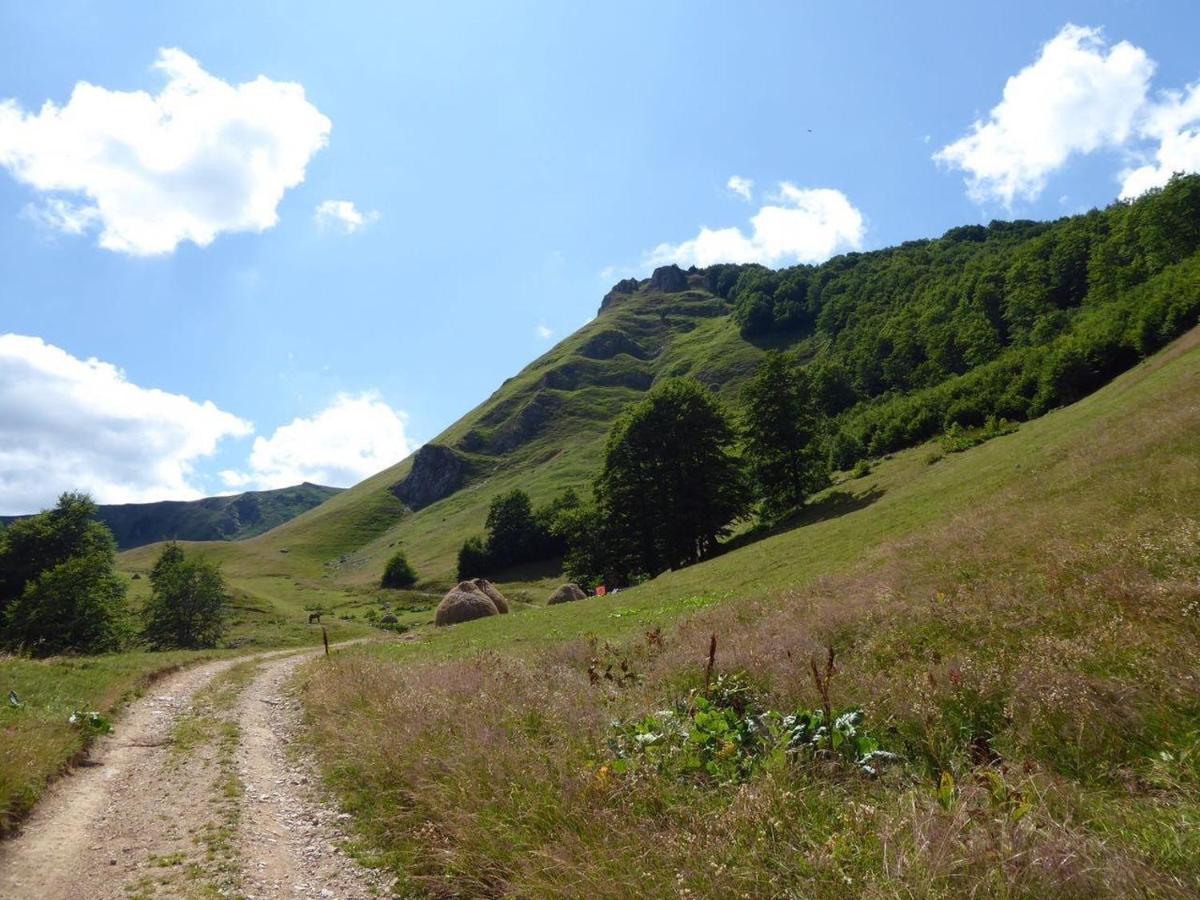 Rakovic Katun - Biogradska Gora Accomodation Villa Berane Bagian luar foto