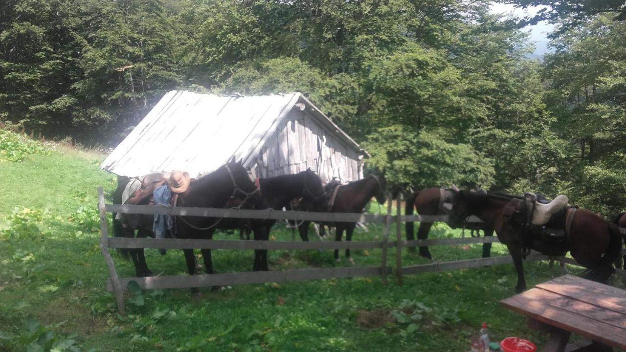 Rakovic Katun - Biogradska Gora Accomodation Villa Berane Bagian luar foto