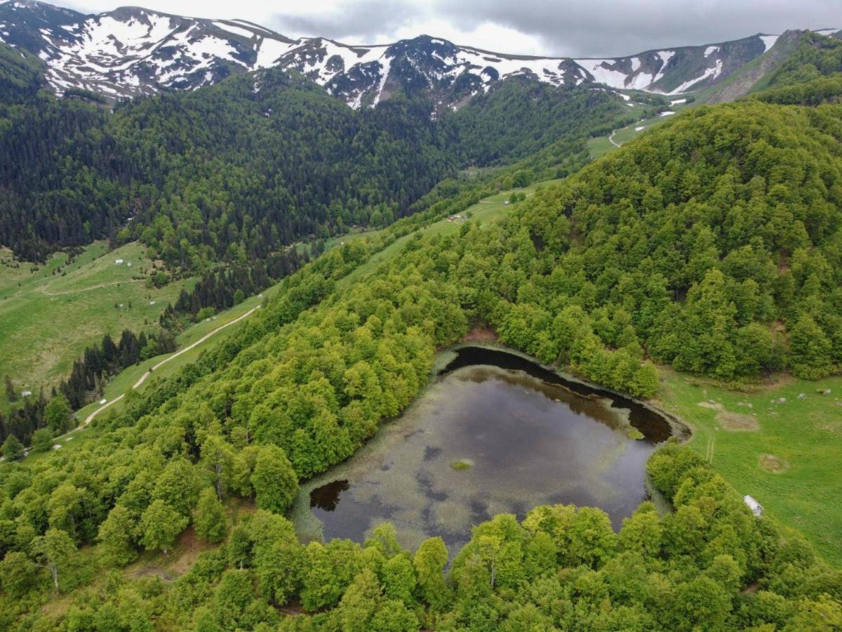 Rakovic Katun - Biogradska Gora Accomodation Villa Berane Bagian luar foto